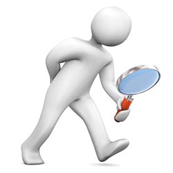 online survey software
